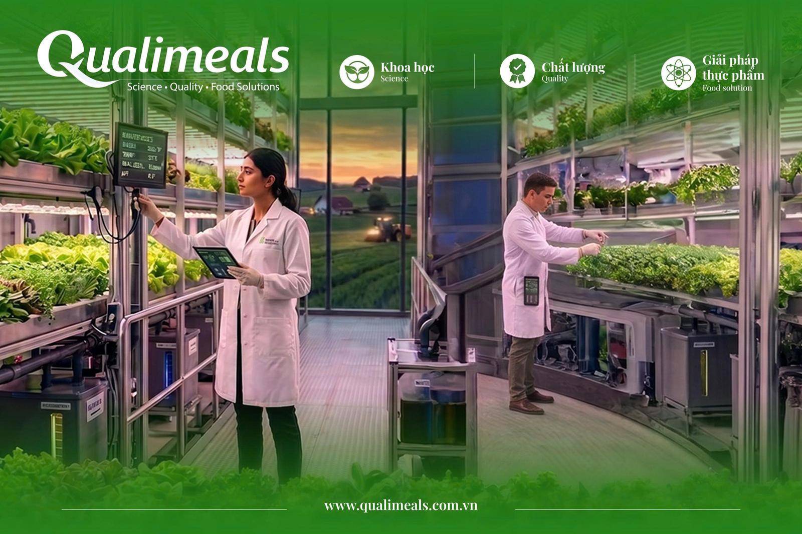 QualiMeal Hero Background